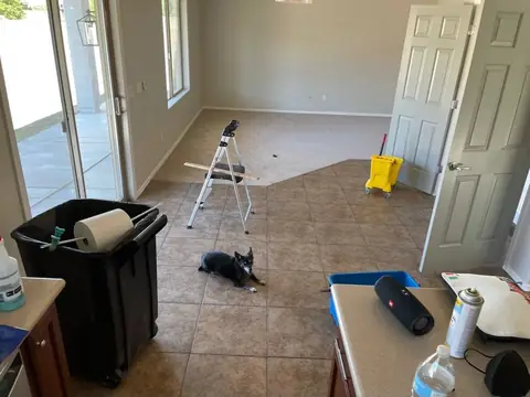Chewy, a small black dog, lying on the tile floor of an empty house beside a step ladder, a mop bucket and a trash can holding a roll of paper towels