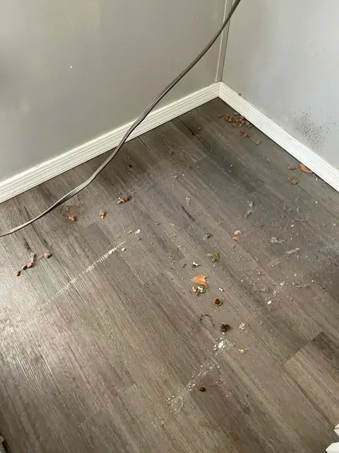 Crumbs, stains and debris on a wood-look floor in the corner where a refrigerator stood